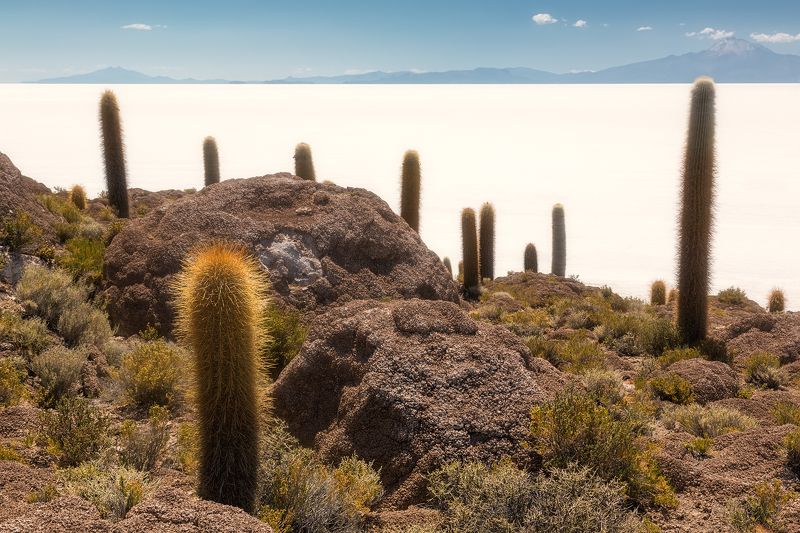 Белое мореphoto preview