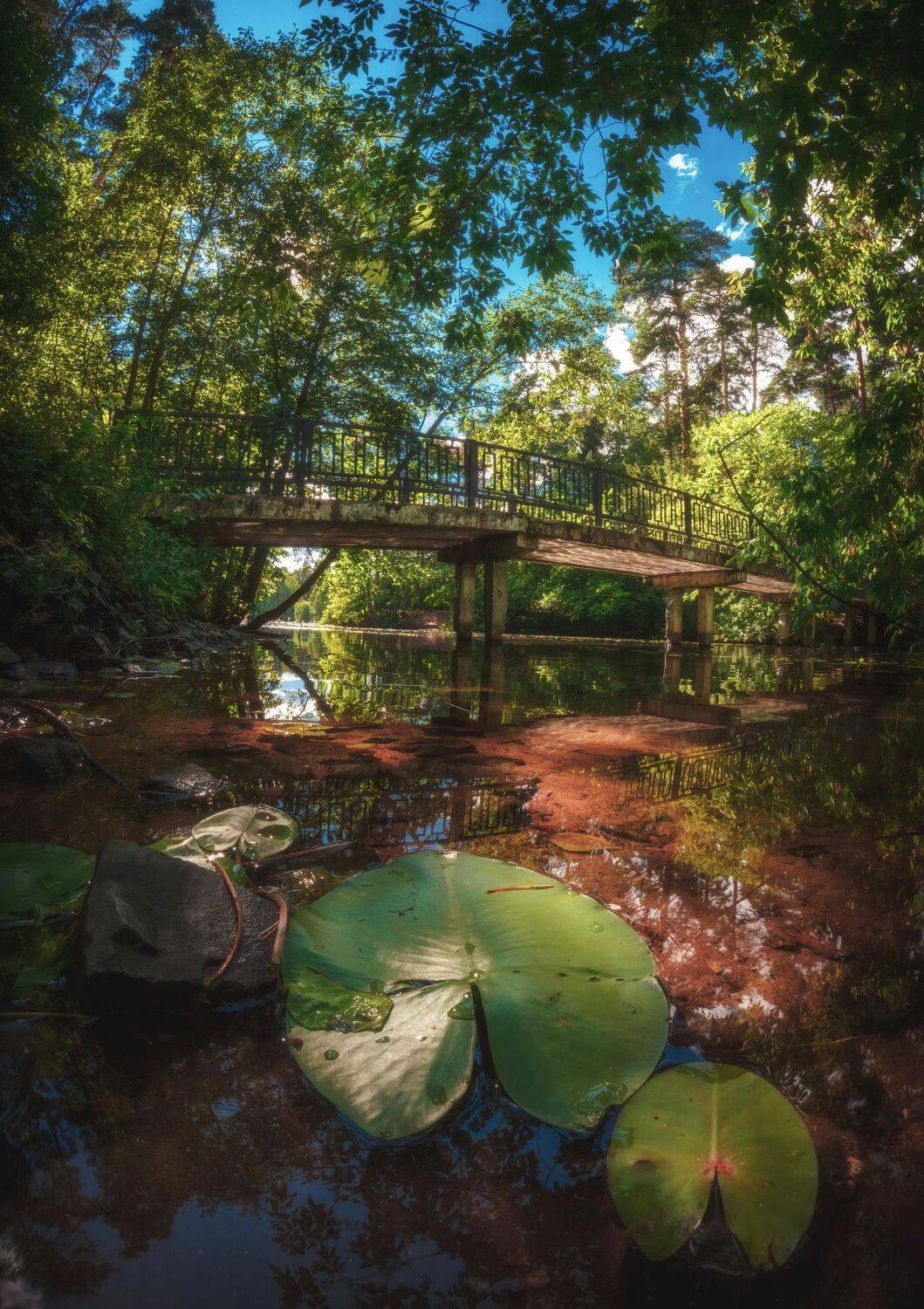 Мостик у Бездонного озера. Автор: Котов Андрей , Котов Андрей