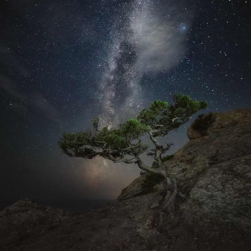 Скала Космос. Новый Свет. Крымphoto preview