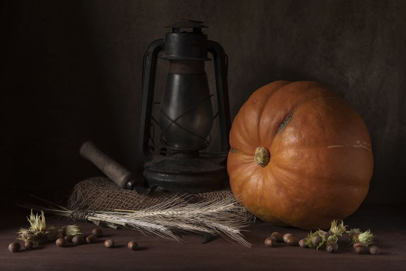 ***августphoto preview