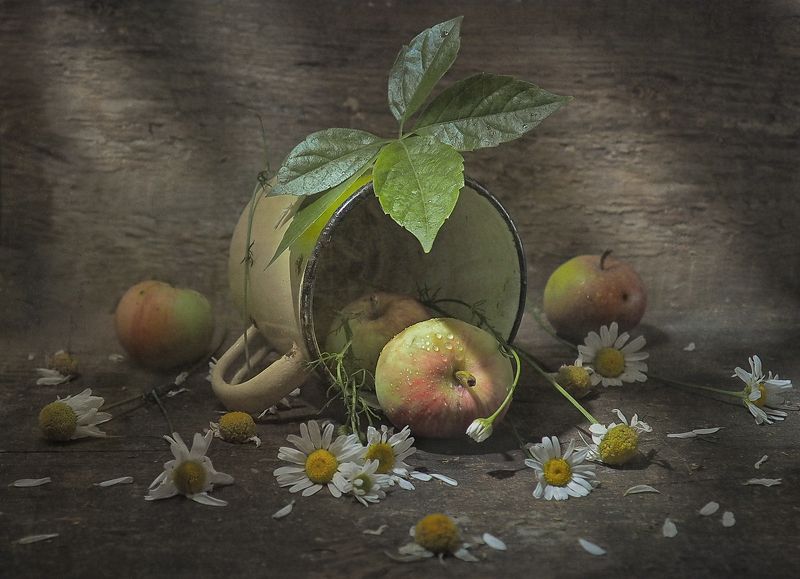 Четыре яблочкаphoto preview