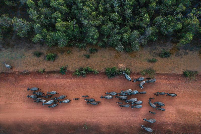 Viet Nam viewphoto preview