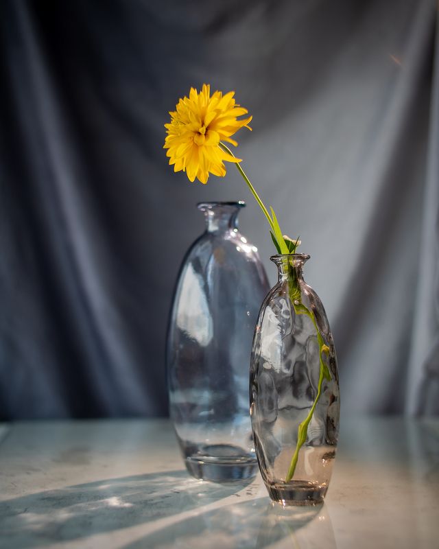 натюрморт желтый ваза зенитар Желтыйphoto preview