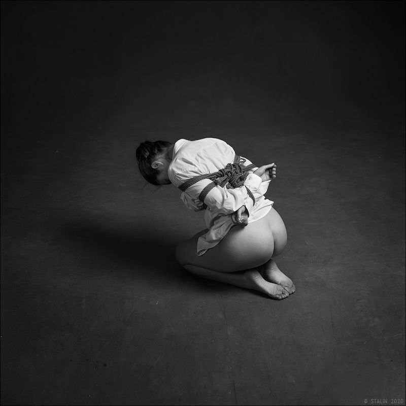 Obedience фото превью