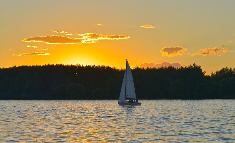 Золотой этюдphoto preview