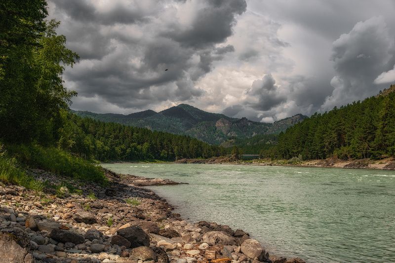 природа ***photo preview