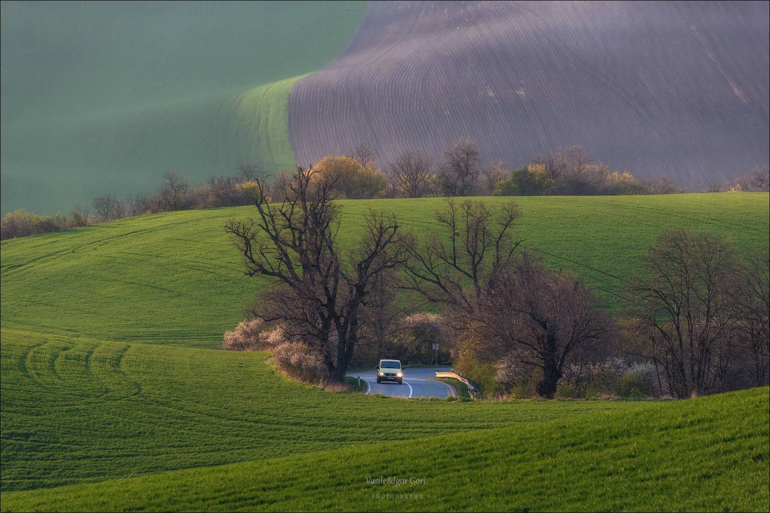 южная моравия,пейзаж,hils,грузовик,линии,south moravian,lines,свет,czech,весна,чехия,landscapes., Василий Гори