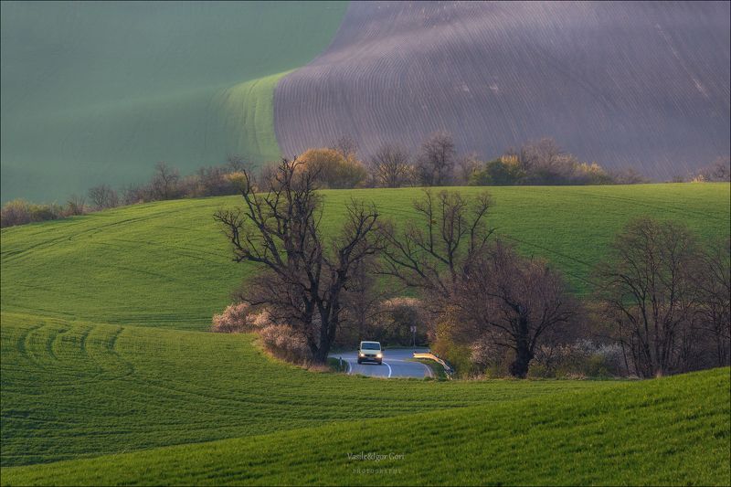 южная моравия,пейзаж,hils,грузовик,линии,south moravian,lines,свет,czech,весна,чехия,landscapes. Дорогами Моравии фото превью
