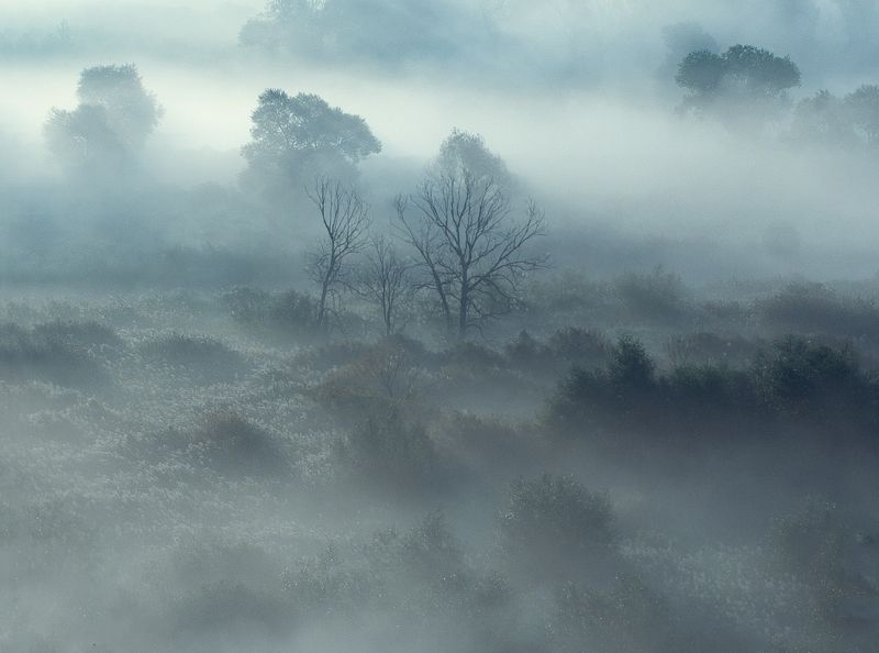 В туманеphoto preview