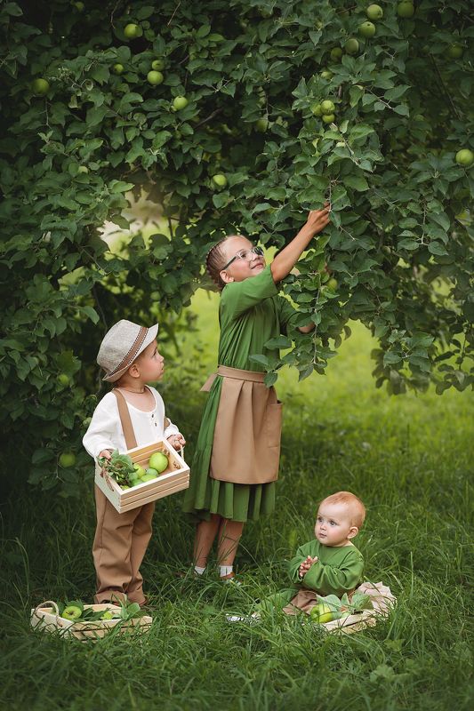 Яблочкиphoto preview