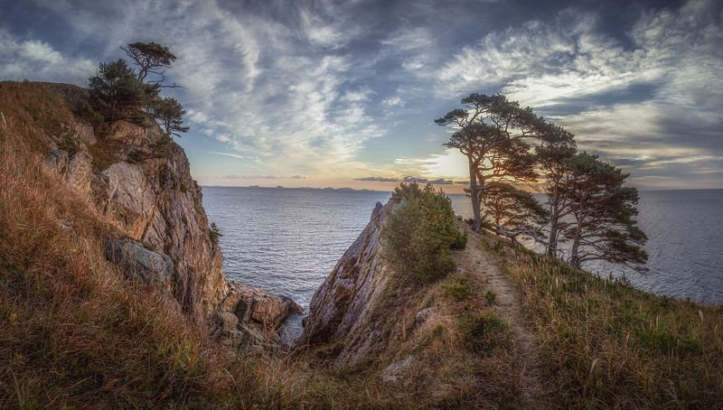 Земля Леопардов Приморский край .Мыс сосновыйphoto preview