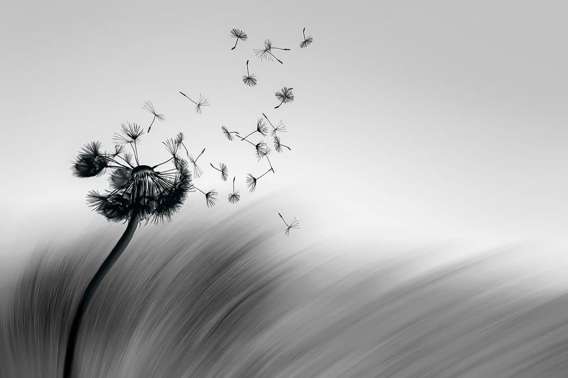 My vision and mentalityphoto preview