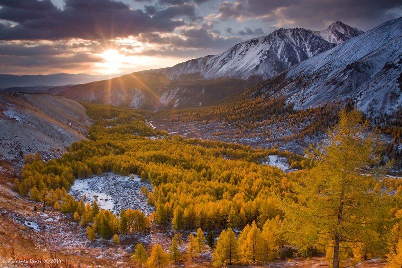 2014, алтай, горы, деревья, долина, осень, россия, сентябрь, снег, солнце, тучи Сокровище Алтаяphoto preview