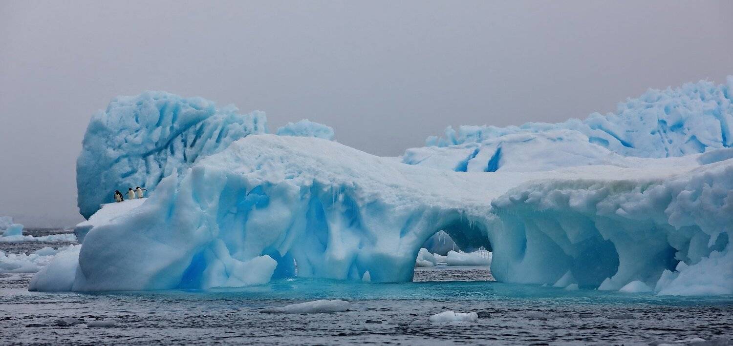 , Александр Перов