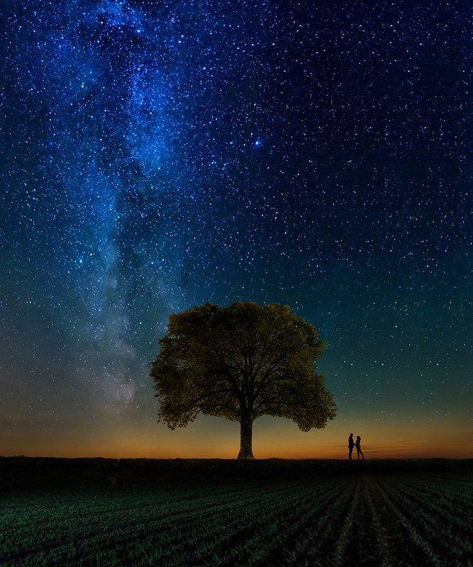 Галактика, Дерево, Закат, Звезды, Млечный путь, Пара, Перспектива, Романтика, Сказка ***photo preview