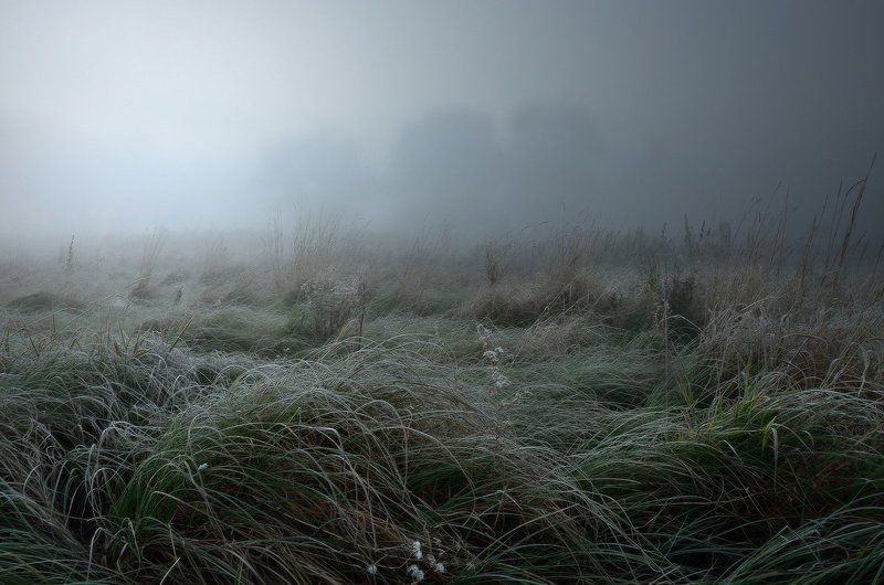 Холодный иней упал на травуphoto preview