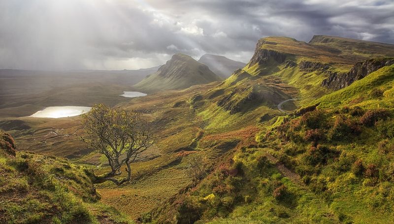 mc, scotland пятьсот семьдесят три оттенка зеленого..photo preview