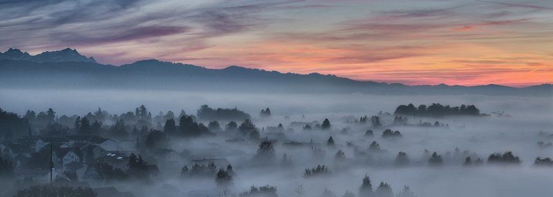 In the fogphoto preview