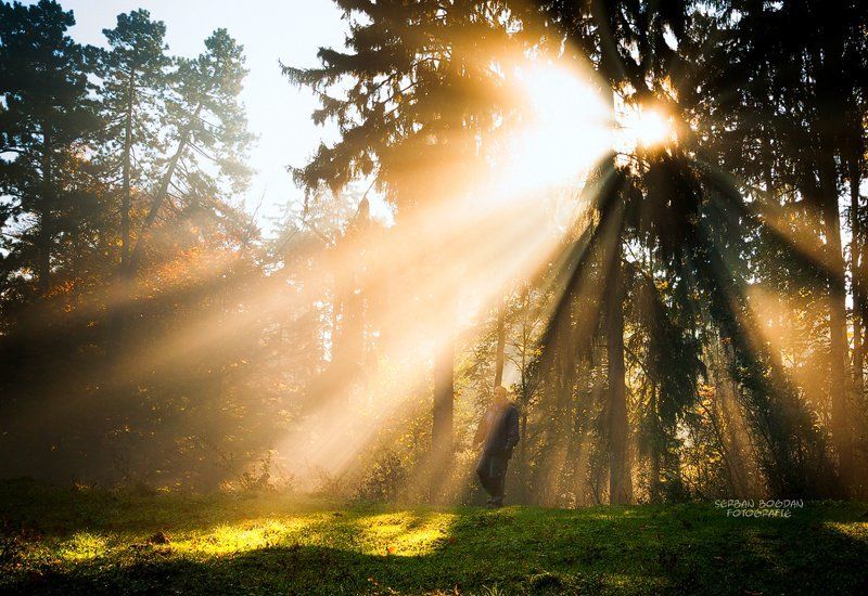 Autumn, Nature, Sunrise From the heart of the lightphoto preview