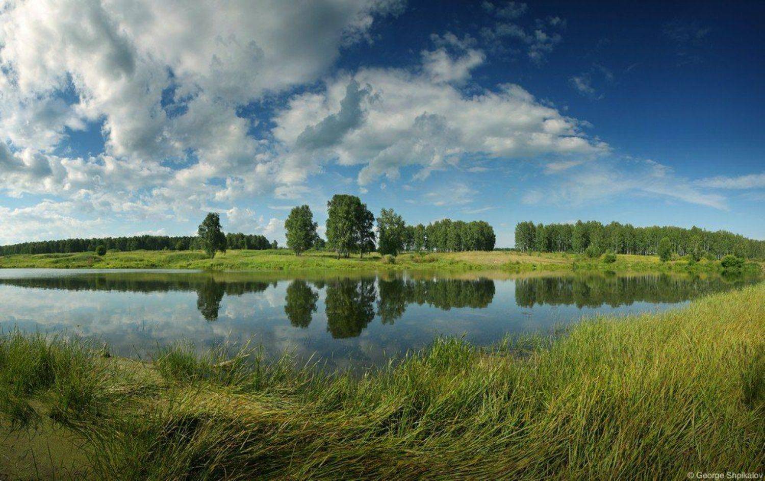 Июльский полдень. Автор: George Shpikalov , George Shpikalov