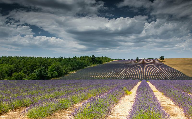 Provansaphoto preview