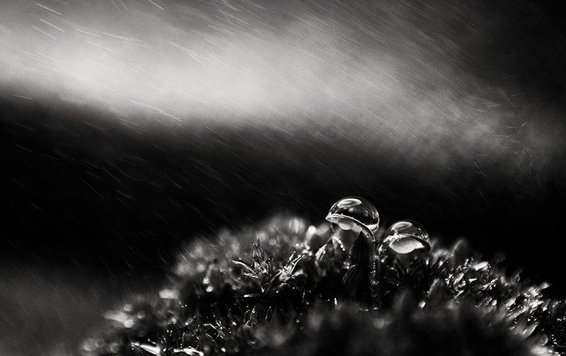 \\\\\\..photo preview