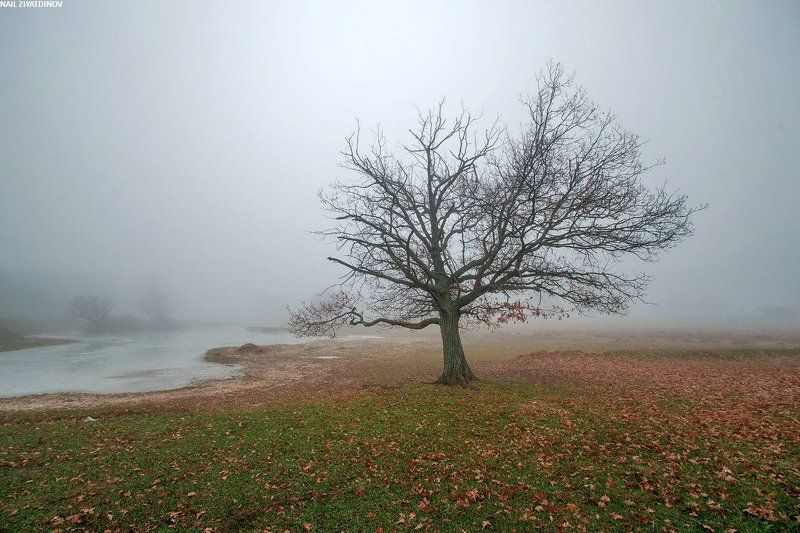 Заколдованный туманphoto preview