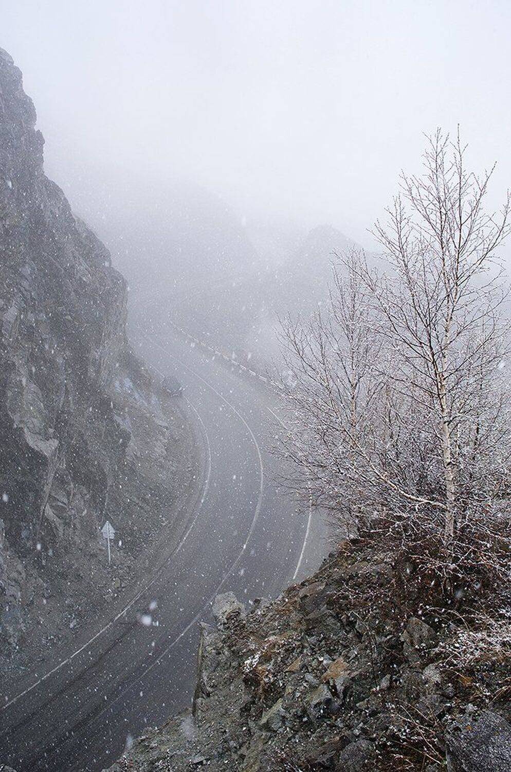 полетели белые мухи.... Автор: Толмачев Дмитрий , Толмачев Дмитрий