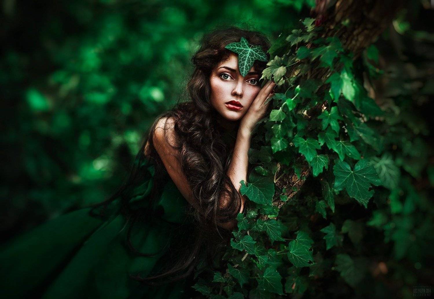 Автор: Беляева Светлана , Беляева Светлана