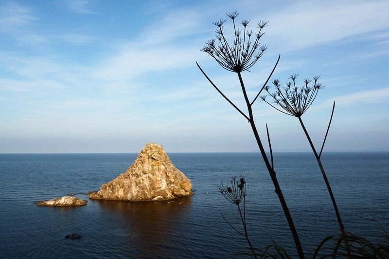 Мыс Гринаphoto preview