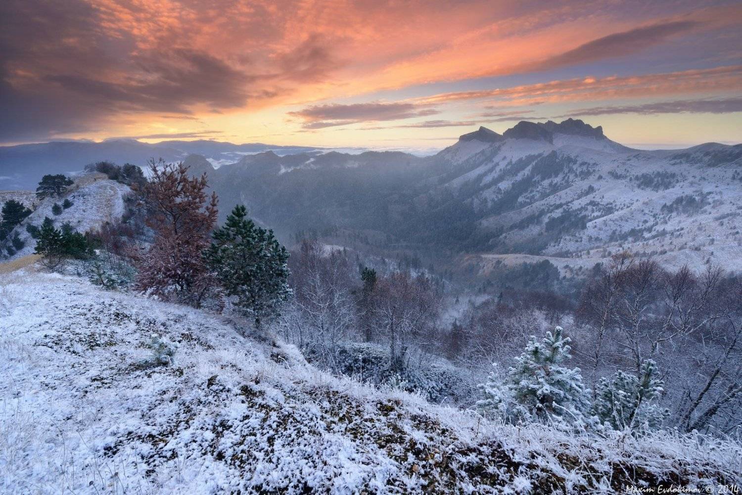 , Максим Евдокимов