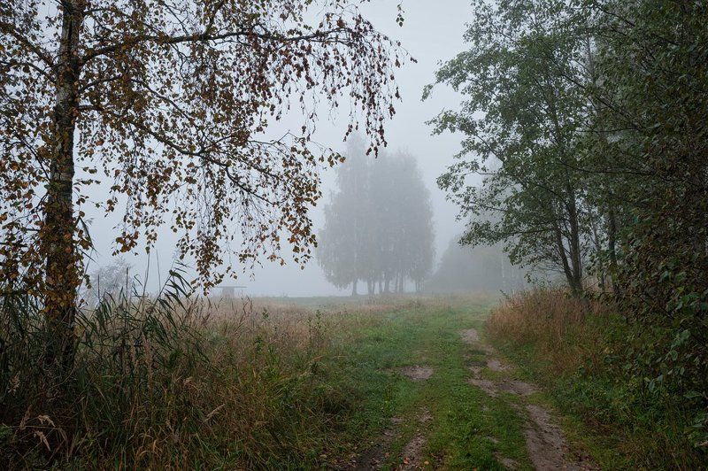 В туманном сентябре...и в августе чуть чуть печальном фото превью