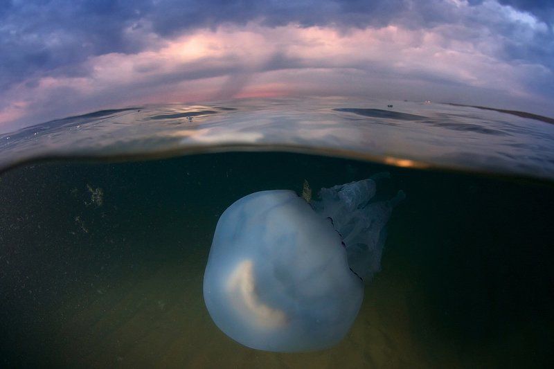 в преддверии грозыphoto preview