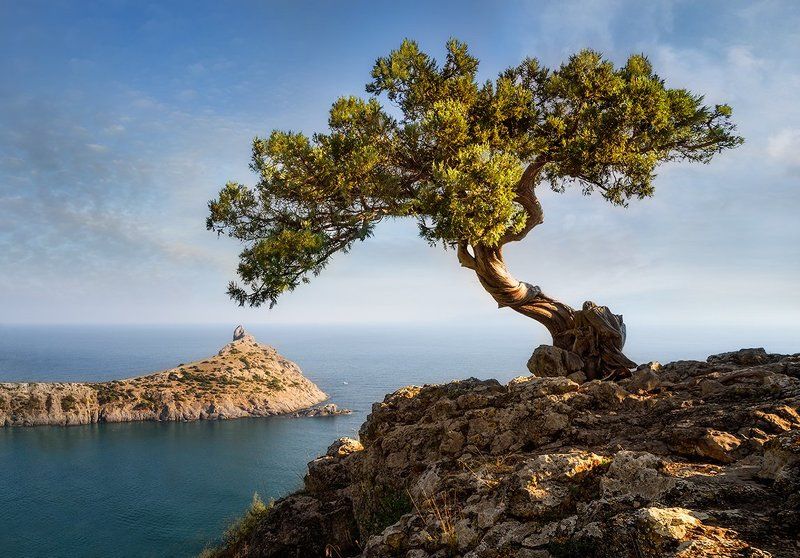 капчик, караул-оба, новыйсвет новосветская) фото превью