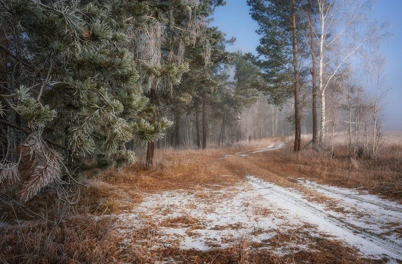 Ноябрьским утром...photo preview