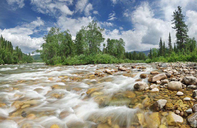 PRO Суругасphoto preview