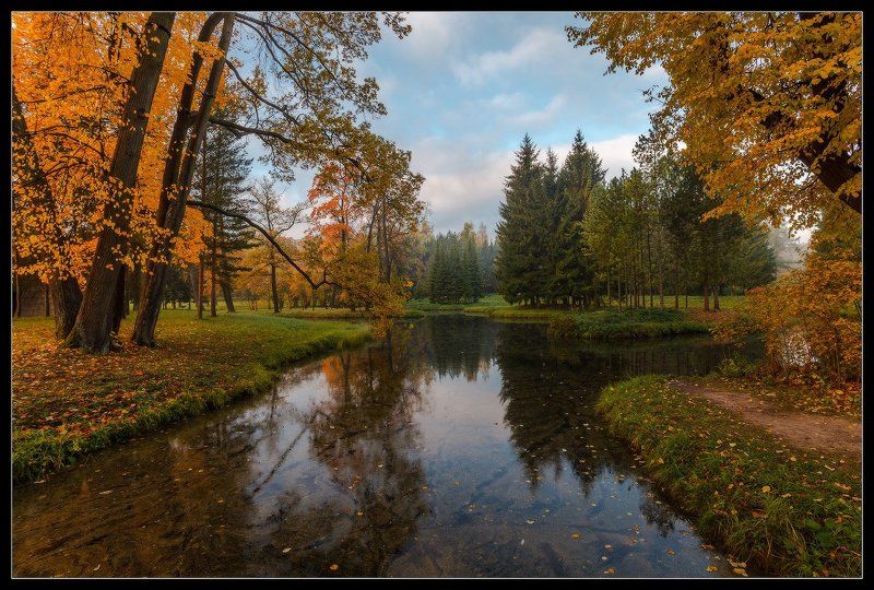 про_Свет Осени... фото превью