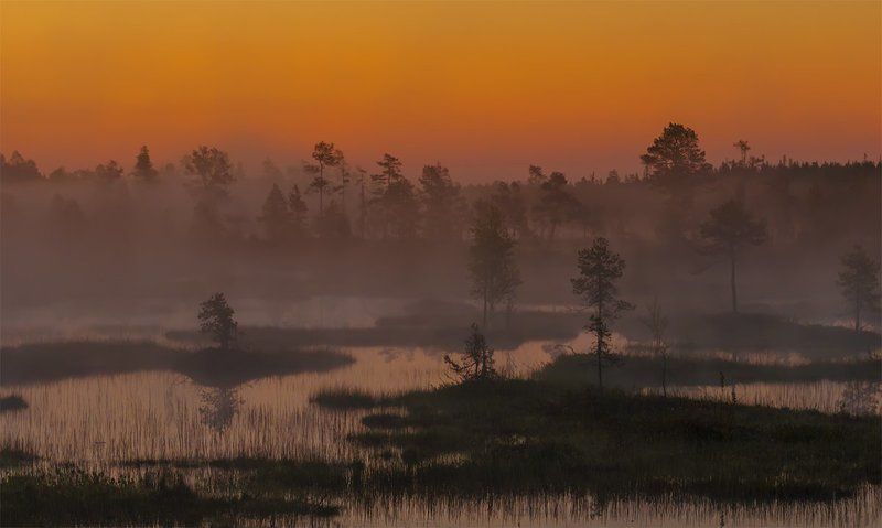 Болото, Восход, Карелия, Лето, Пейзаж, Природа, Путешествие, Рассвет, Север, Туман, Туризм, Утро Туманыphoto preview