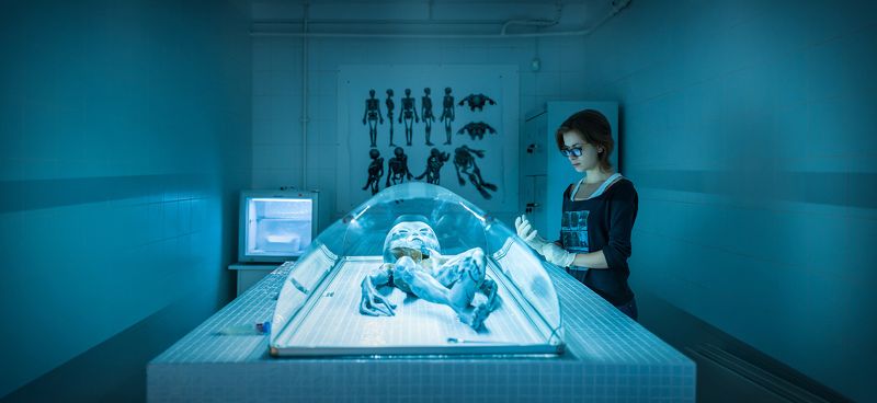 X-Filesphoto preview