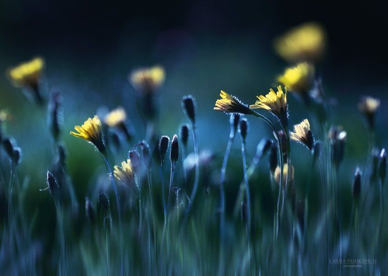 Еще немного летаphoto preview