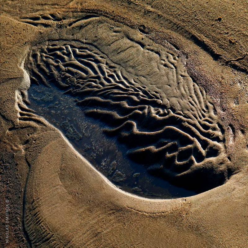 рапан. струга. Звоз. Северная Двина photo preview