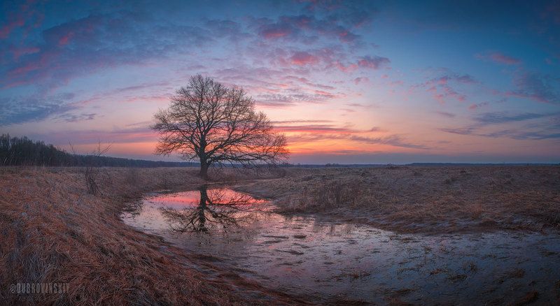 весна, краски, небо, дерево, краски Апрельская акварельphoto preview