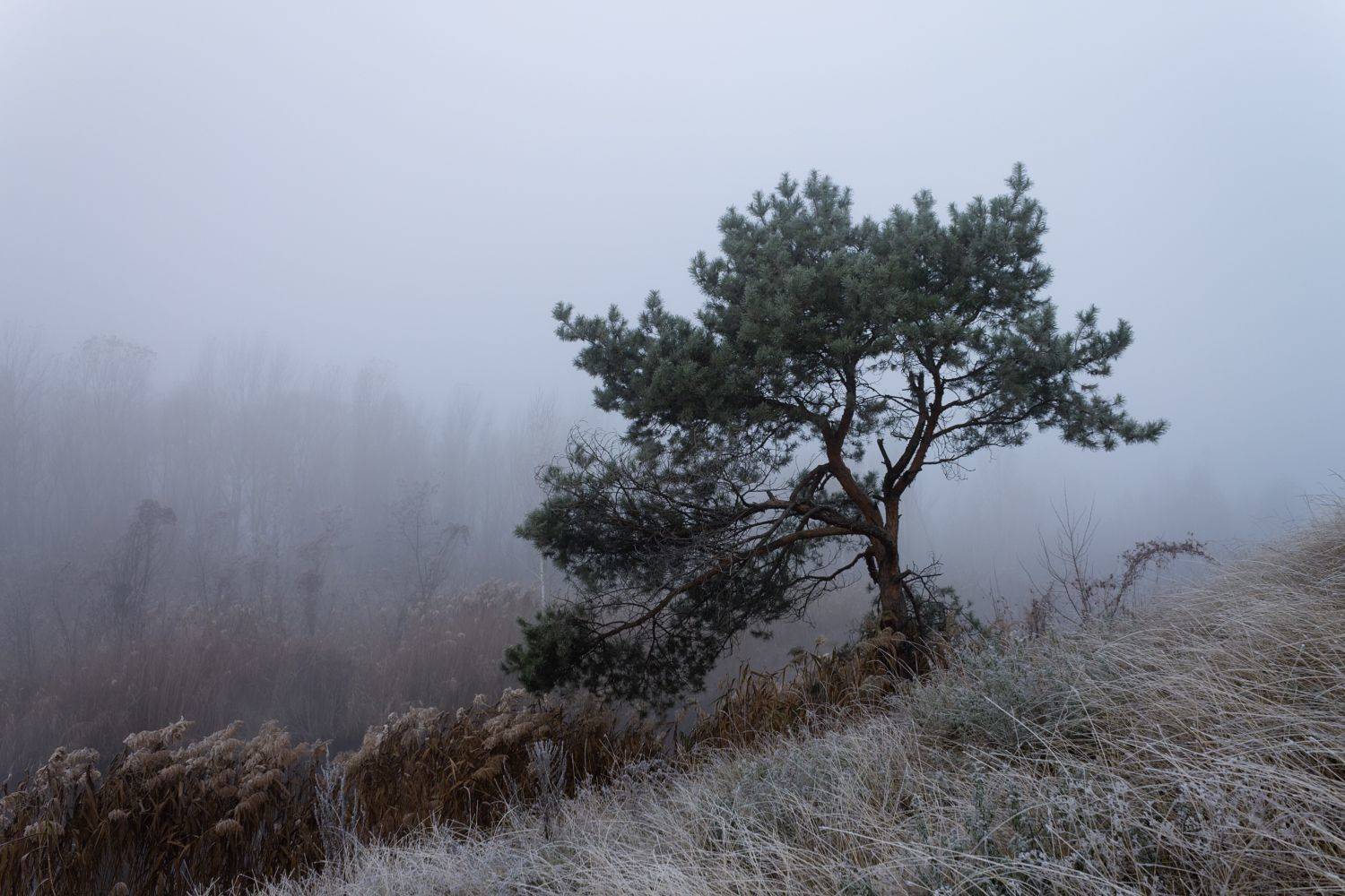 . . .. Автор: Taurtirith Photography , Taurtirith Photography