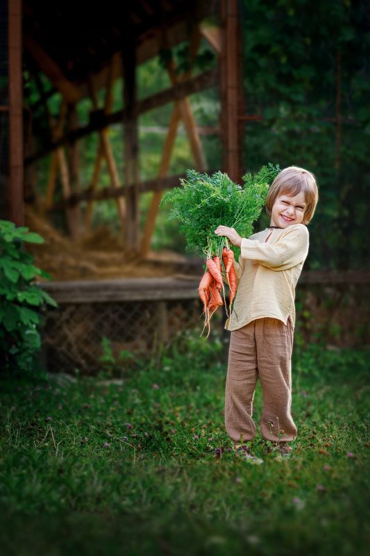 морковь, лето, огород, детство МОРКОВЬphoto preview