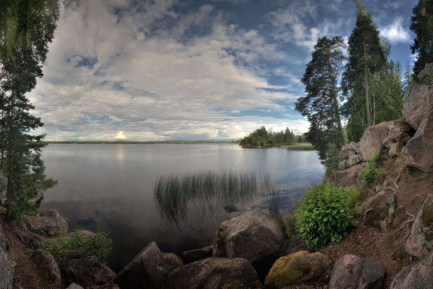 Парк Монрепо. Автор: Алексей Никонов , Алексей Никонов