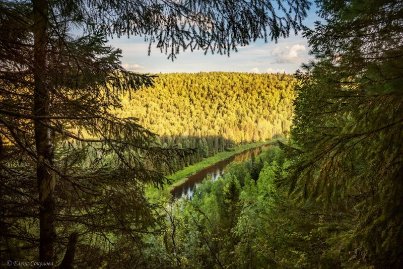пейзаж, лето, скала, лес, река берёзовая Провожая деньphoto preview
