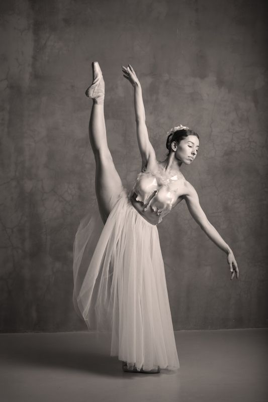 ballet,ballerina,dance,amazing,beauty,woman,female,балет,балерина,танец,красота, движение,женщина, Балетphoto preview