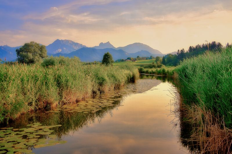 Из меди закатphoto preview