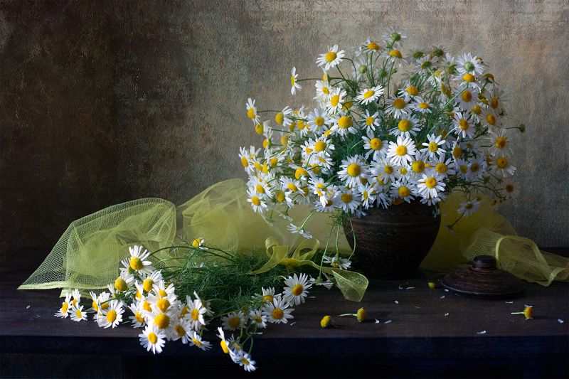 миламиронова, фотонатюрморт, лето, stilllife, цветы, букет, натюрмортсцветами, ромашки С ромашками... фото превью
