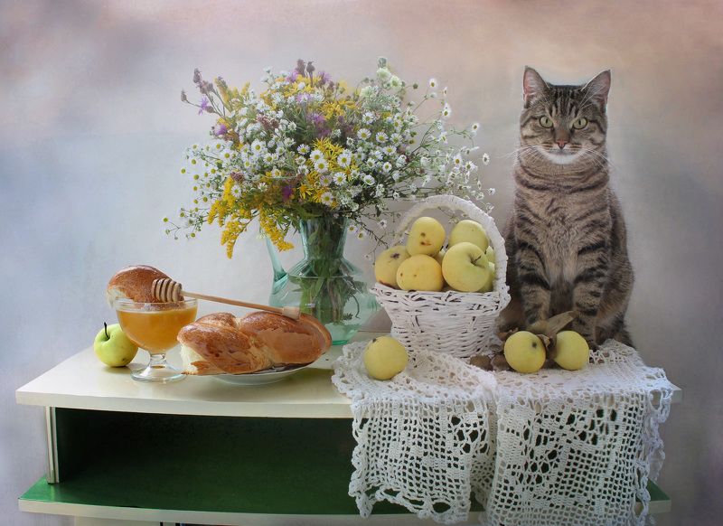 животные, кошки, натюрморт, лето, цветы, мед, медовый спас, август Медовый Спасphoto preview